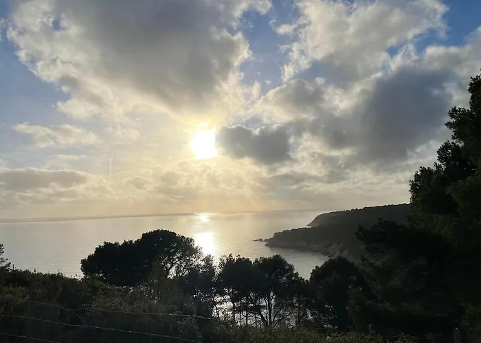 Ac, Garden With Sea View, Private Parking, Swimming Pool Apartment Bandol